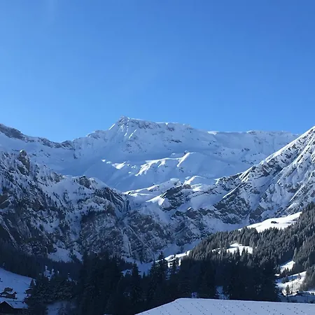 Hari By Interhome Apartament Adelboden