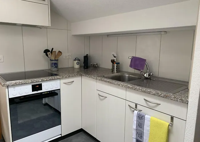 Hari By Interhome Lejlighed Adelboden