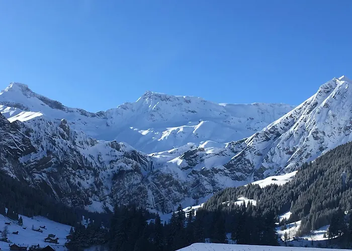 Hari By Interhome Lejlighed Adelboden