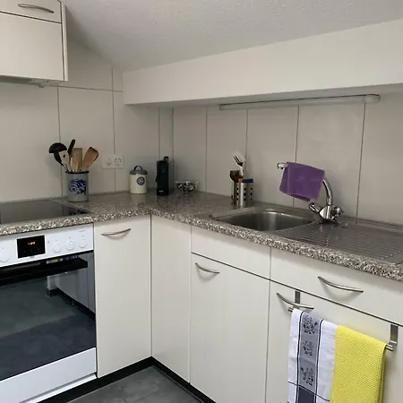 Hari By Interhome Lejlighed Adelboden